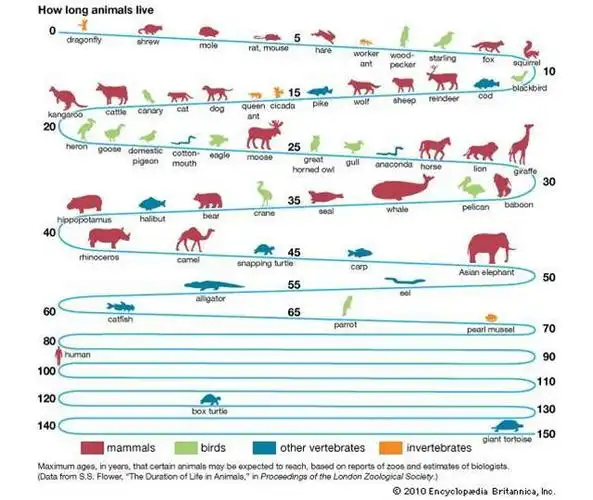 用数据丈量并延展生命的长度:让我们活到150岁!
