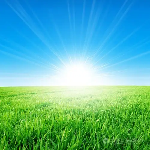 在清晨的阳光下泉域