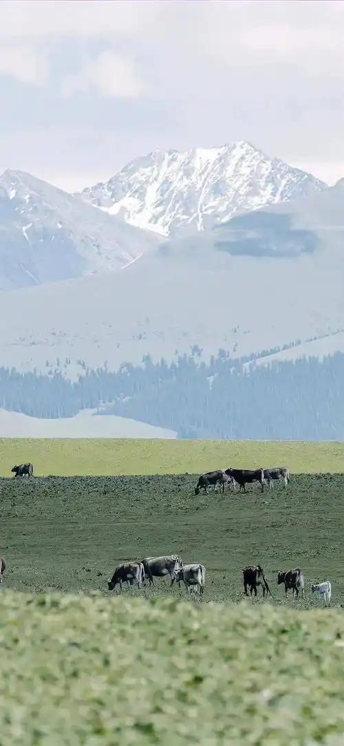 壁纸精选可爱卡通锁屏壁纸