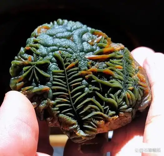 要说世界上最奇的奇石当然要数我国最出名四大名石,众所周知的『小鸡