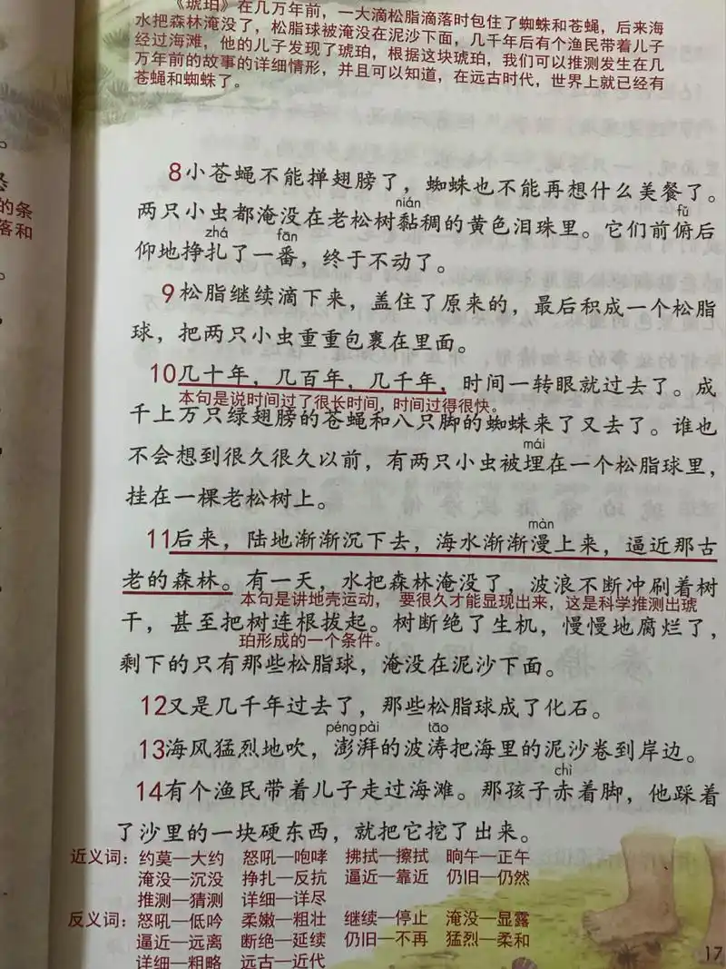 「课堂笔记」四下5《琥珀》 本课是一篇说明文,也可称作科学小品.