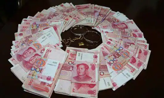 河北一县委书记被查 其司机按吩咐藏数千万财物