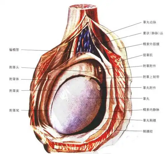 你发达了,会不会把那些没你层次或者地位高或者钱多
