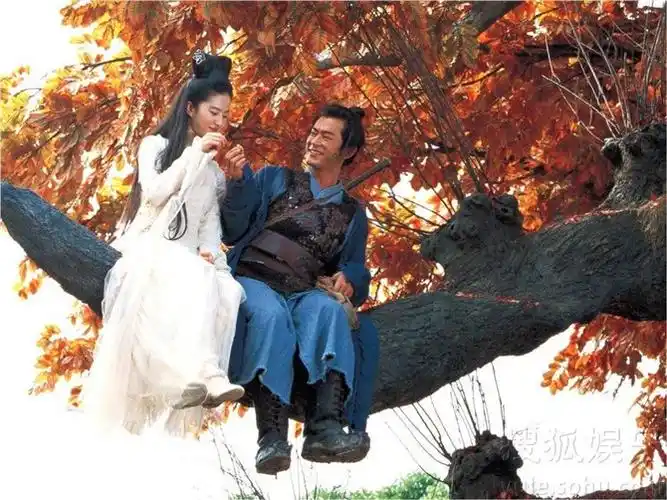 有一张新倩女幽魂里刘亦菲和古天乐坐上树上的图片谁发给我一下好吗?