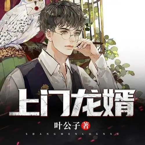 《上门龙婿|至尊龙婿叶辰萧初然》有声书,听小说,有声小说在线听书