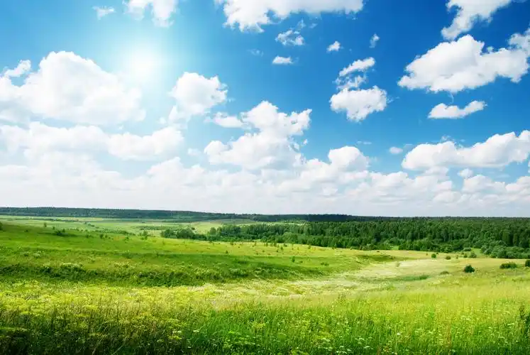 蓝天绿地绿色草原草地草坪高尔夫球场夕阳蓝天白云清新明亮自然风景