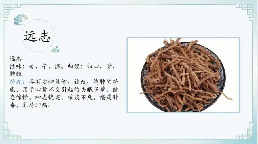 有关远志的食谱