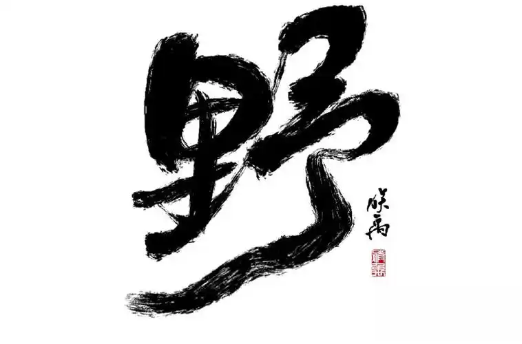 野性狂野42款野字体设计