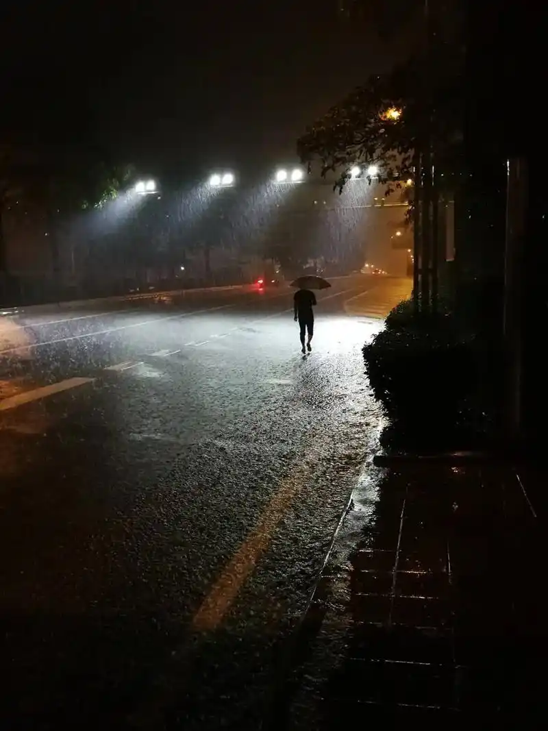 窗外,雨依然在下,悄无声息地落入孤寂的心间,点点滴滴敲打着思 - 抖音