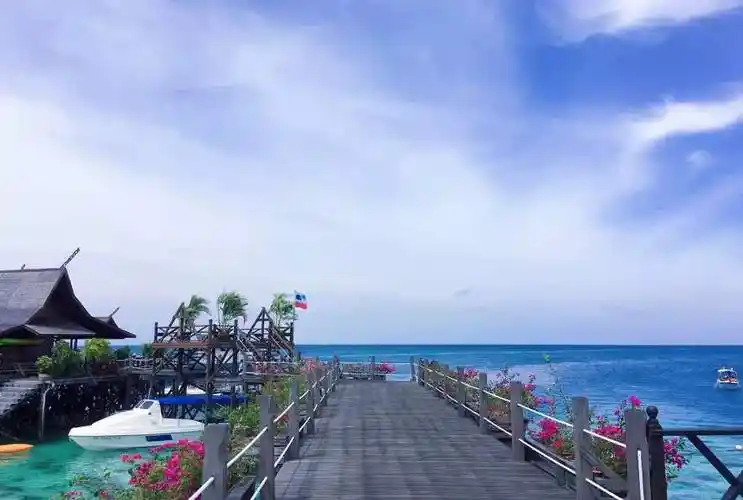 2020年抖音最火的动态壁纸[多图]-资讯-11773手游网