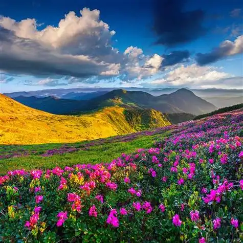 花恋唯美风景头像_风景静物头像_我要个性网