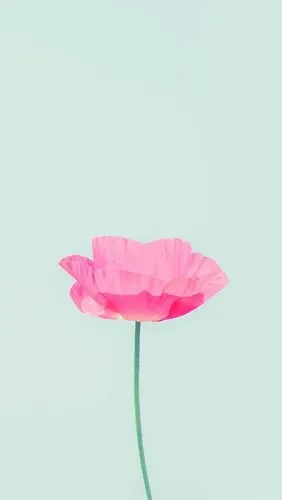 简洁- 堆糖,美图壁纸兴趣社区