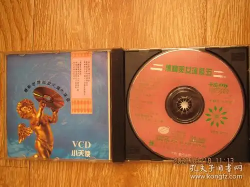 歌曲光盘:传情美女泳装系列 五(vcd)