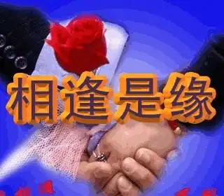 缘分让我们相遇是意外也注定了我们的分离相遇不如不遇