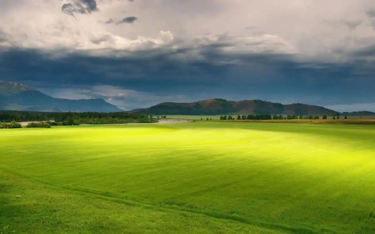 绿色护眼自然风景摄影图片桌面壁纸.