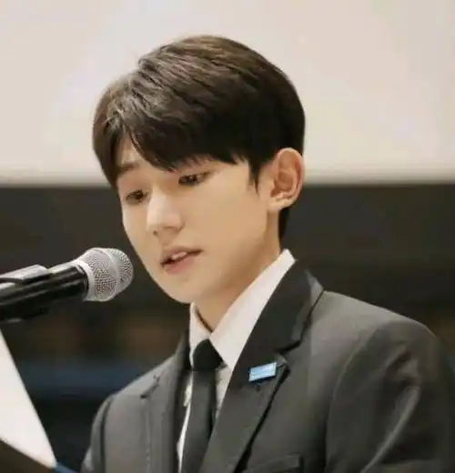 6年养成路,3登联合国,王源这位19岁的"宝藏男孩"未来可期_偶像_中国