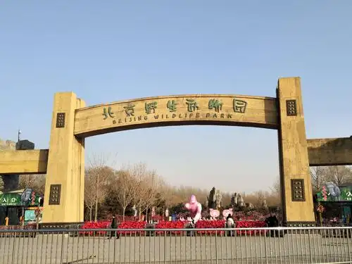 大兴野生动物园大门口