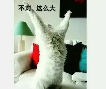 不对,这么大_不对_这么表情