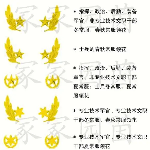 海军领章除了五角星橄榄枝的还有什么样的