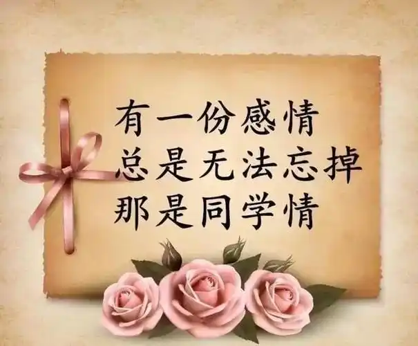 同一间教室不再是天涯路人成了一生情谊的同学