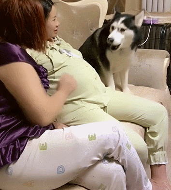 特别声明:以上内容(如有图片或视频亦包括在内)为自媒体平台"网易号"