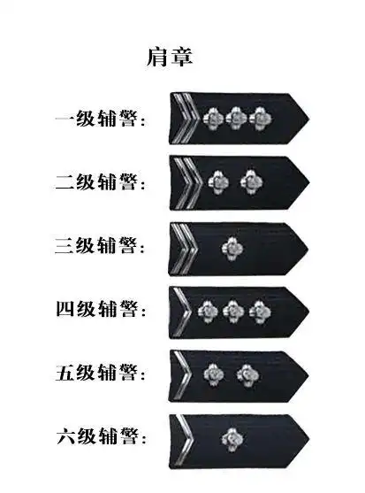 定级授衔,工资上调!最主要警衔很漂亮!