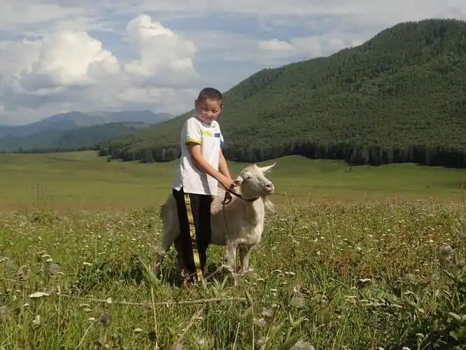 放羊的哈萨克小男孩