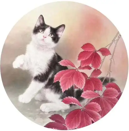 新一代工笔猫王画家王涛(四川)作品赏析