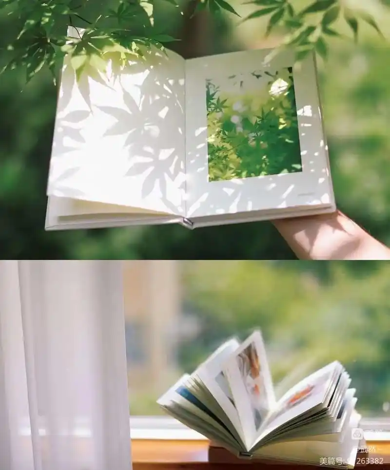 窗台上,阳光下,一盏茶,一本书,一个人. 小憩 也许是 - 抖音