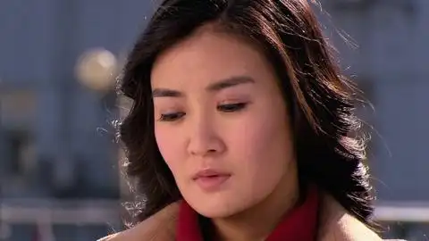 都是兄弟_电视剧_主演吴京安,韩青,王龙华个人资料简介_高清完整版