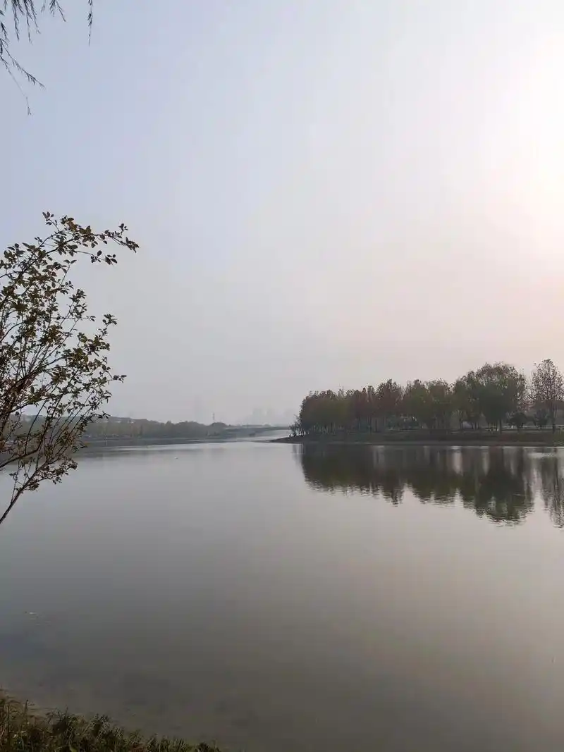 夕阳下的美景,疫情期间一元钱学的摄影,摄影水平有很大的进步, - 抖音