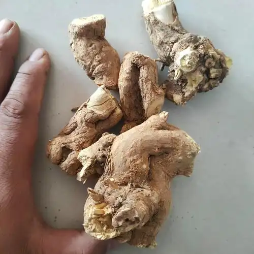 枸杞根 枸杞头 地骨根 新鲜晒干枸杞子树根 枸杞子树老根 50克干枸杞