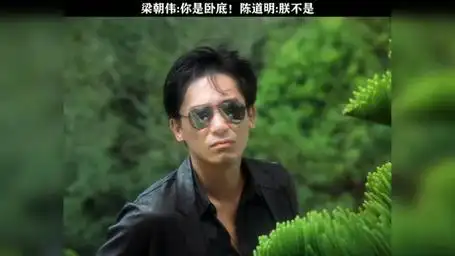 无间道 陈道明 梁朝伟 黎明