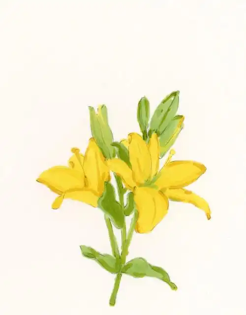 马克笔手绘小插画分享治愈系可爱植物水果手机壁纸头像