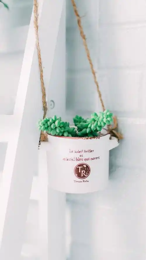 绿色唯美小清新手机壁纸图片