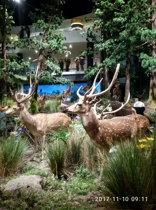 游览青岛贝林自然博物馆