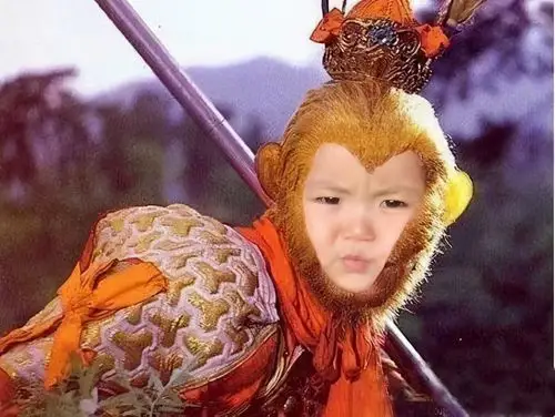 罗熙西游记表情包图片合集