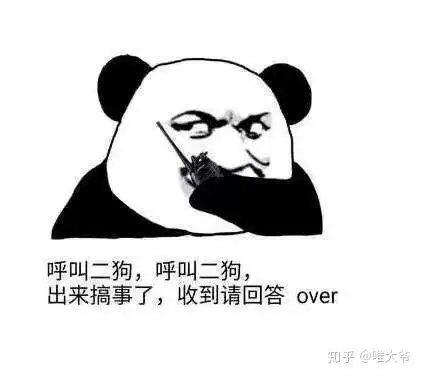 有哪些适合聊天开场的表情包呀? - 知乎