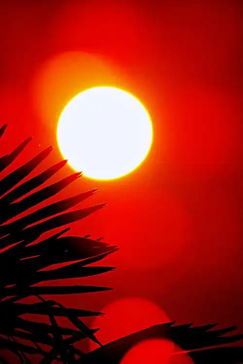 火红的太阳升起在来!