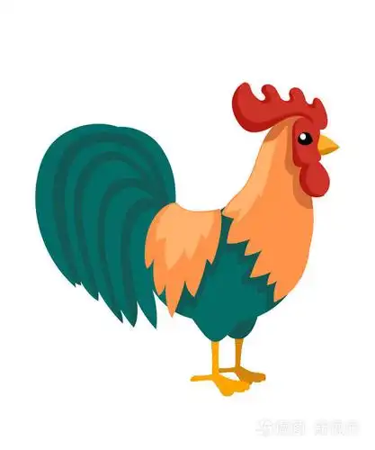 农场公鸡卡通设计五颜六色的农场动物鸟在白色背景上隔离的平面矢量