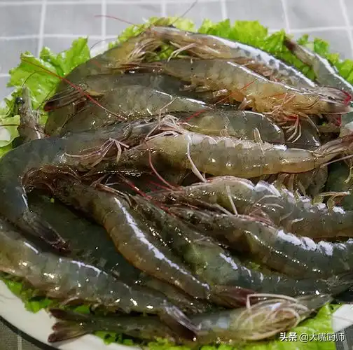 13活虾怎么保存到晚上不死 -生活知识库-动动脑