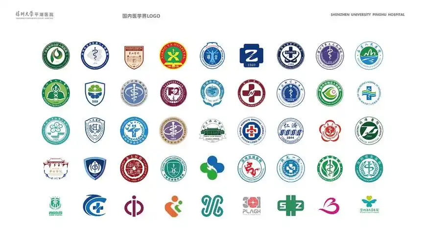 深圳大学平湖医院品牌设计