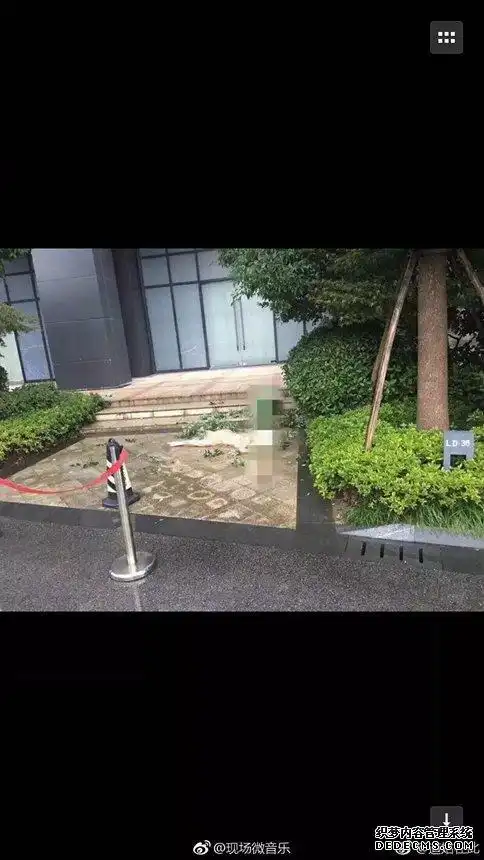 任娇是怎么死的为何要全裸跳楼自杀真相揭秘 任娇全裸跳楼画面图