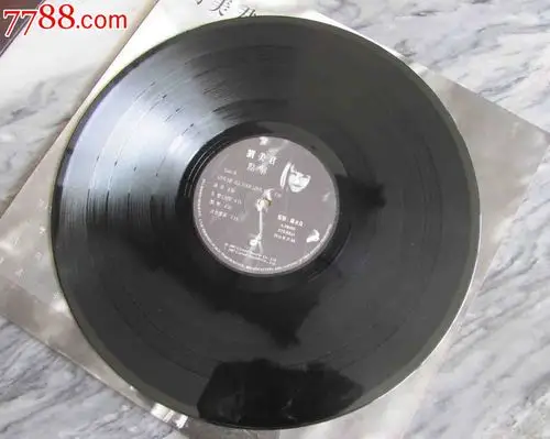 刘美君.点解,一对旧皮鞋