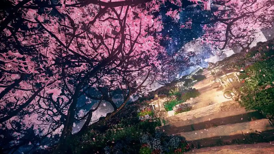 樱花之路风景背景