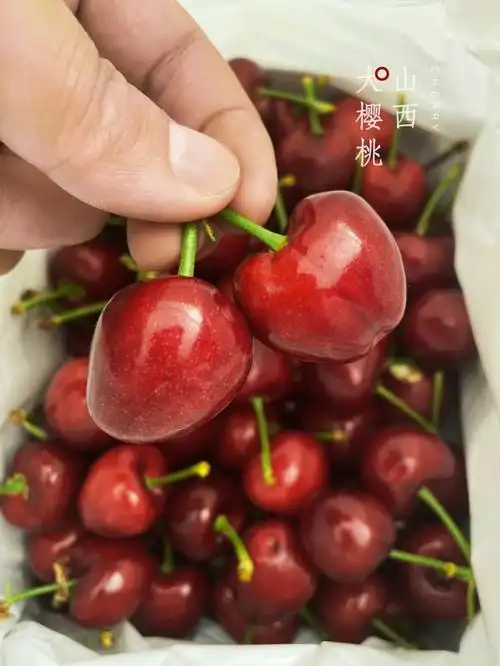 车厘子就是大樱桃啊