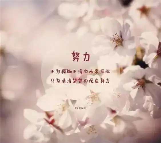 高考励志语录经典短句霸气犀利高考励志正能量图片句子