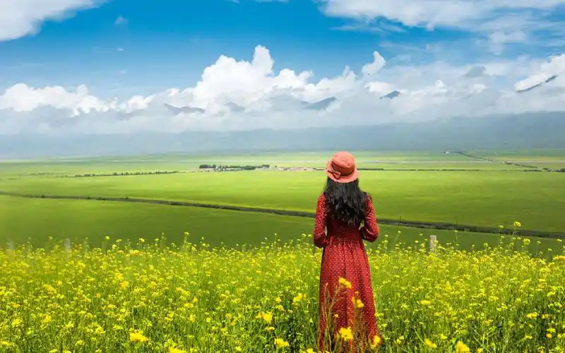 唯美油菜花田园风景桌面壁纸