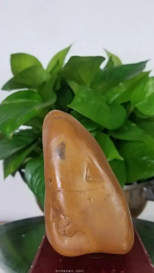 黄蜡石 【产地】江西鹰潭--信江原产地--纯天然原石--各种奇石--黄蜡