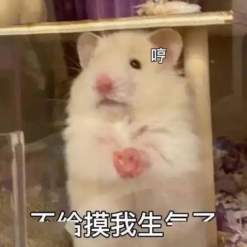 污污,瑟瑟撩人,色色表情包